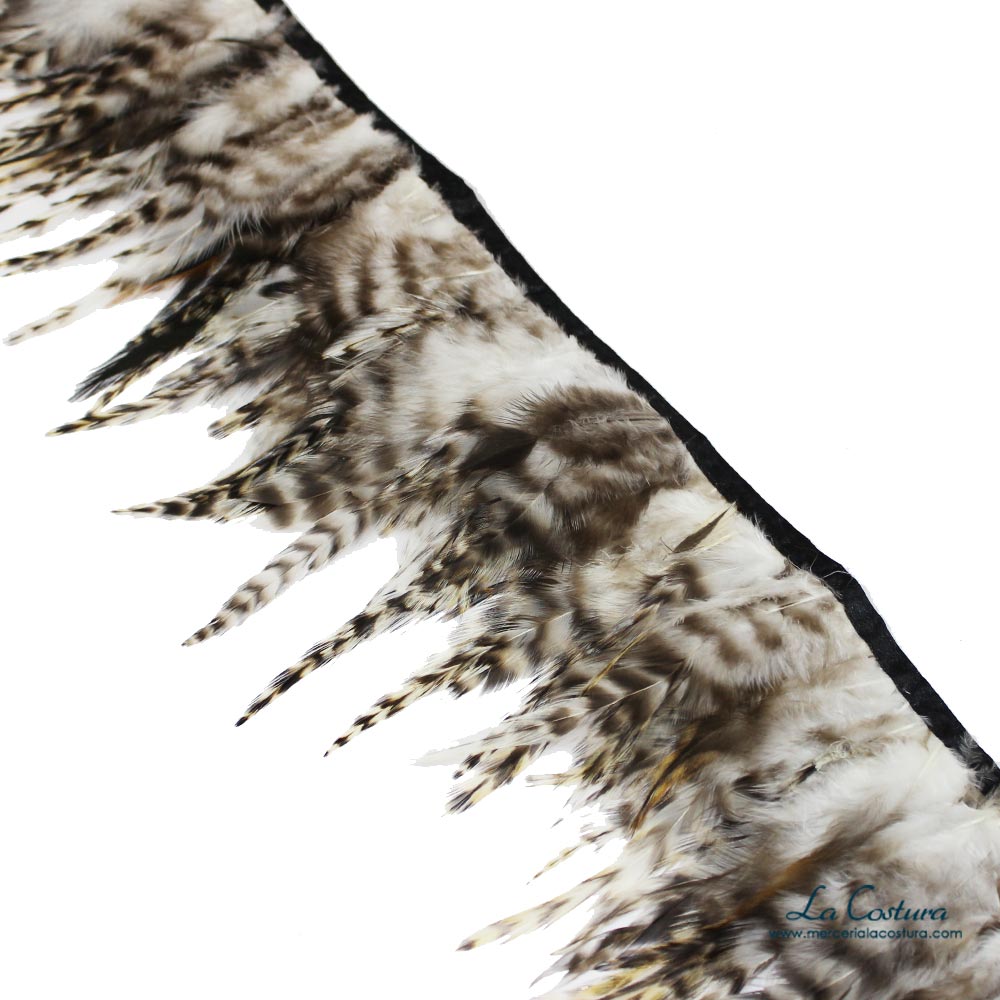 fleco-de-plumas-degradadas-de-gallo-gris