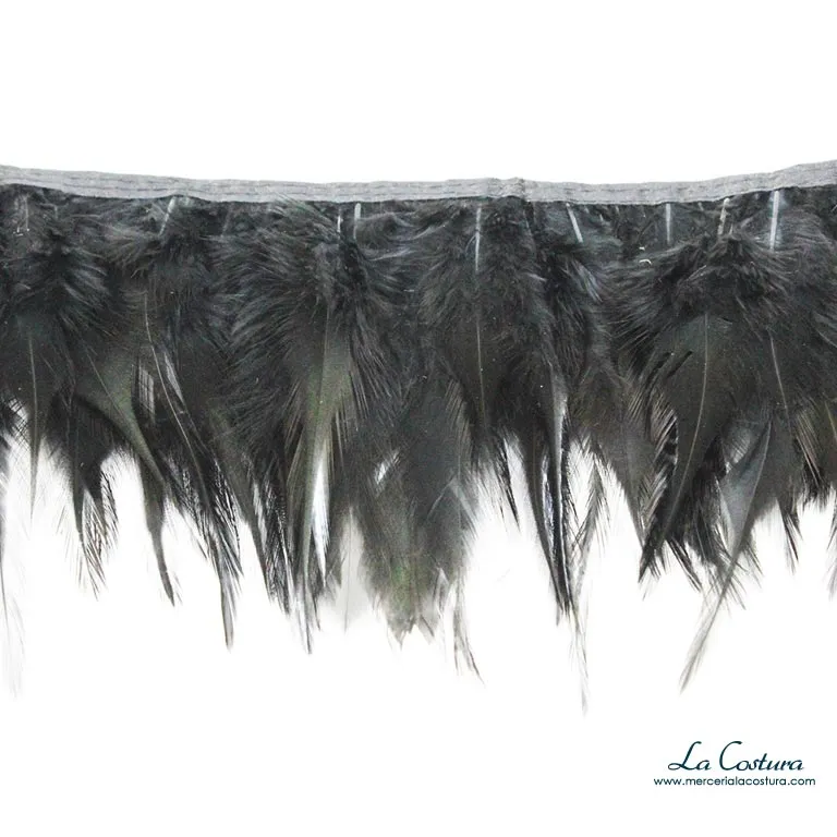 fleco-de-plumas-de-gallo-negro_11zon
