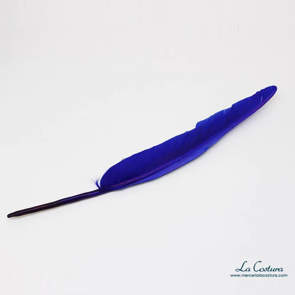plumas-acrilicas-sueltas-azul-morado_11zon
